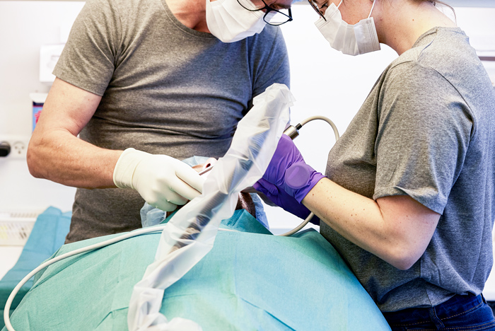 Billede af et tandlaege eftersyn hos Hafniahus